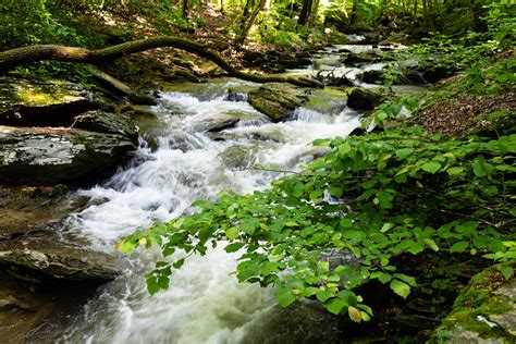 River Vs Stream : River Vs Stream Difference / A body of moving water