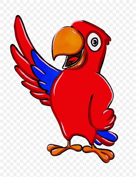 Bird Beak Cartoon Macaw Parrot Png 805x1066px Watercolor Beak Bird