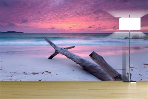 Beach Sunset Wall Mural Tumblr Photography Iphone Photography Wall