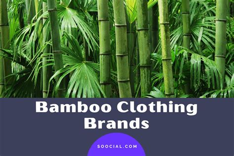 21 Bamboo Clothing Brands To Go Green And Look Good Soocial