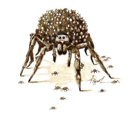 The Nurturing Nature of Spider Moms - New York Almanack