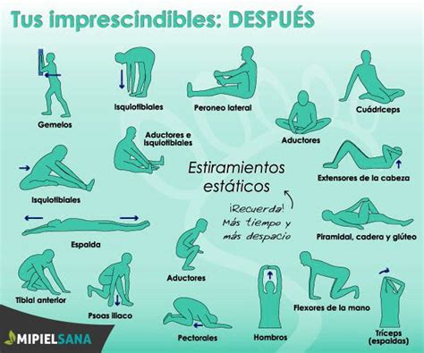 Las Diferencias Entre Estiramientos Estáticos Y Dinámicos