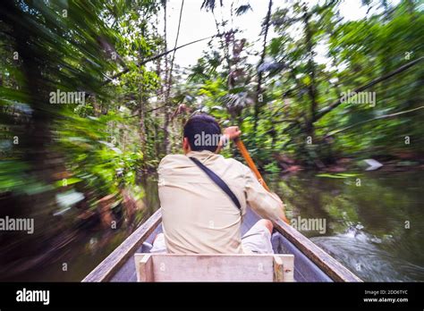 Dugout Canoe Ride In The Amazon Rainforest Coca Ecuador South