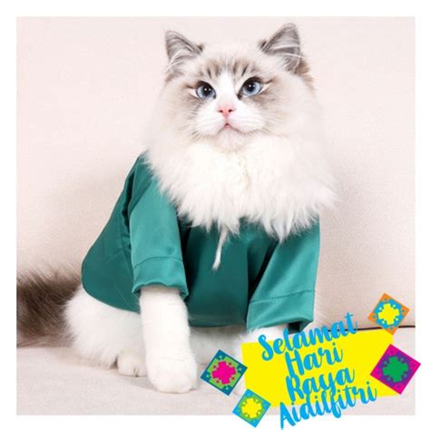 Baju Melayu Kucing Baju Kurung Kucing Baju Raya Kucing Shopee Malaysia