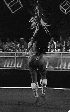 Mesmerizing Gifs Of Sexy Girls With Juicy Butts Gifs