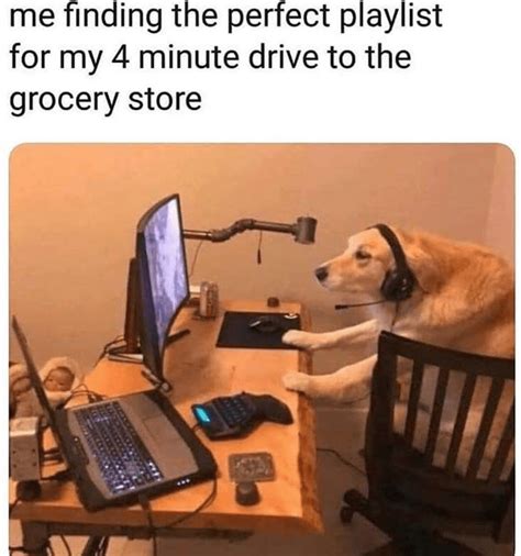 Pure Goodness Collection Of Doggo Memes I Can Has Cheezburger Funny