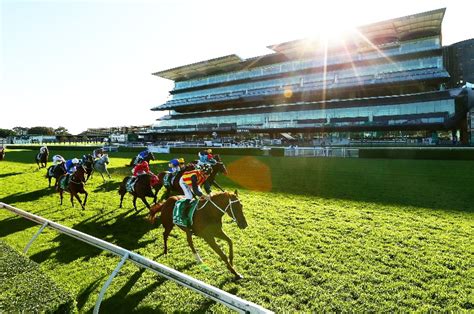 Randwick Tips Best Bets And Betting Previews For Winx Stakes Day At
