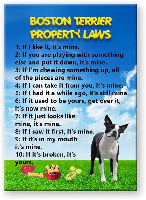 Boston Terrier Property Laws Fridge Magnet No 1 Funny