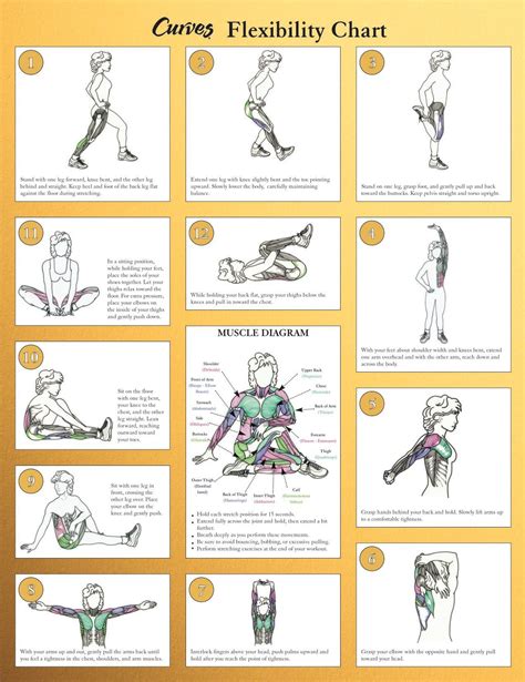 Free Printable Stretching Exercises