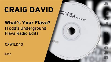 Craig David Whats Your Flava Todds Underground Flava Radio Edit