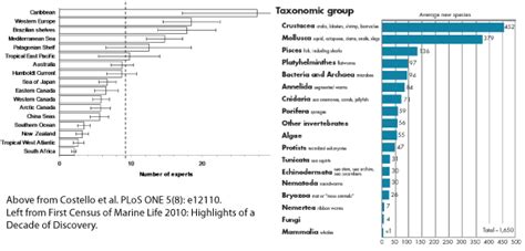 Deep Sea 101 Lessons From The Census Of Marine Life Deep Sea News