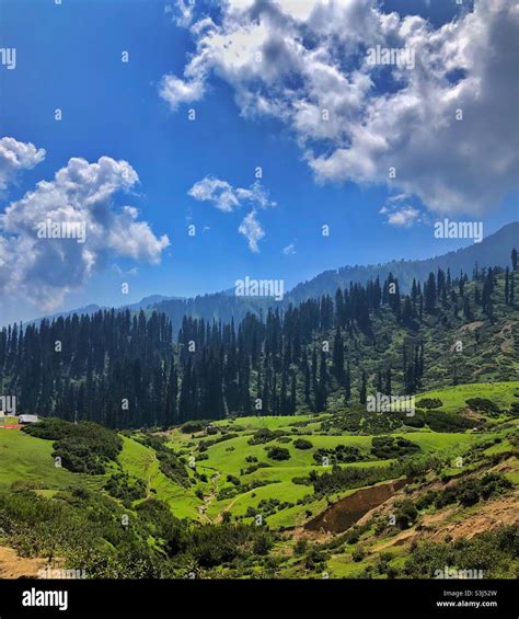 Green Pastures On Top Of Mountain At Swat Pakistan Stock Photo Alamy