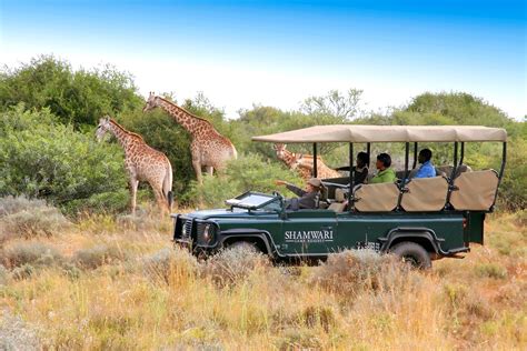 Auf ihrer tour durch das reservat warten fast 150 verschiedene säugetierarten darauf, entdeckt zu werden. South Africa Cities and Safari Adventure - Platinum ...