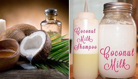 Diy Homemade Coconut Milk Shampoo For Shinny Hair