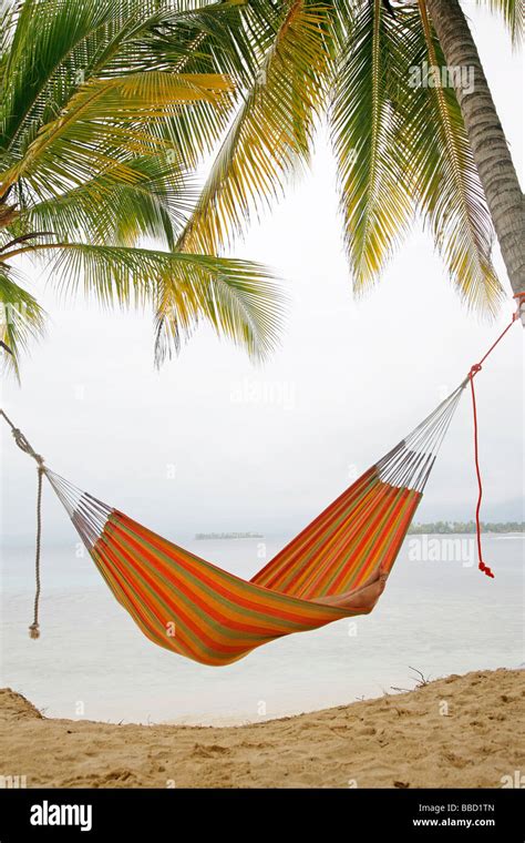 Hammock Hanging From Palm Trees Stock Photo Alamy