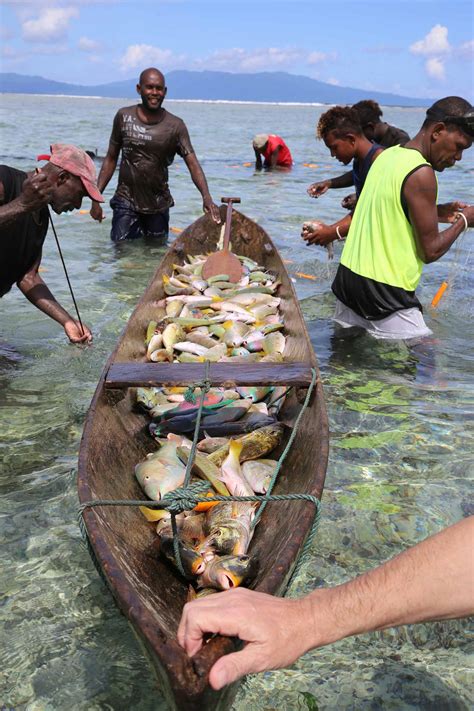 Solomon Islands Zarackjenny