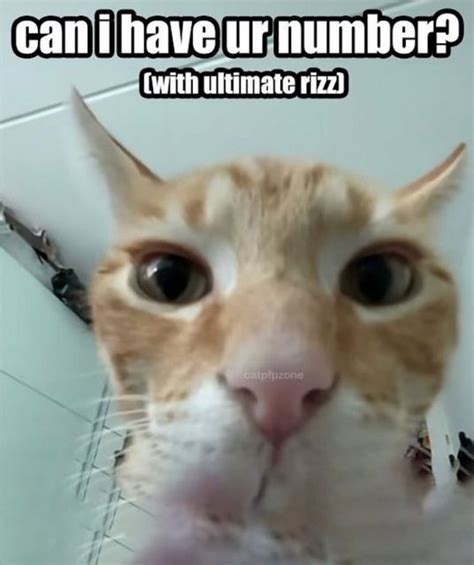 Hehe Cattoe On Instagram Ultimate Rizz Technique ———————— Follow