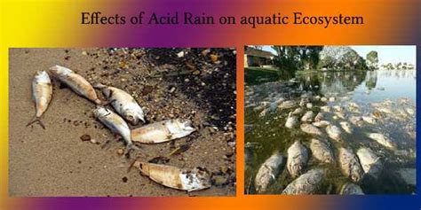 Acid Rain Definition Causes Sources Formulas Effects And Controls