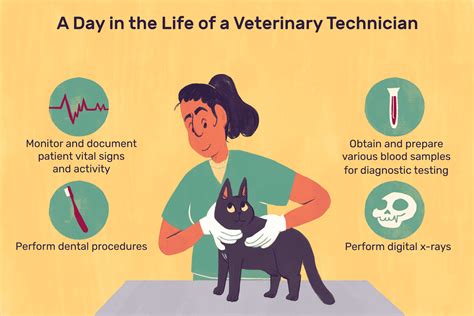 vet tech vs vet assistant canada - Angla Burris