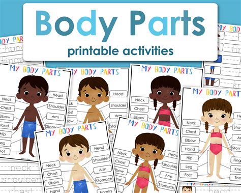 My Body Parts Matching Game Printable Busy Book Etsy