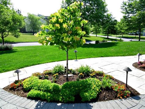 Ornamental Dwarf Trees For Landscaping — Randolph Indoor And Outdoor Design