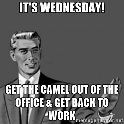 As a professional vow writer, many of the brides and grooms i collaborate with desperately want to strike that difficult balance between humor and sentimental. Wednesday Work Meme it's wednesday! get the camel out of ...