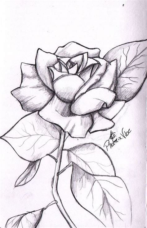 Detalle Imagen Dibujos De Rosas Chidas Thptnganamst Edu Vn