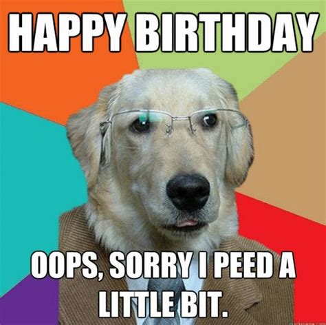 101 Funny Happy Birthday Dog Memes For Paw Lovers Everywhere In 2020