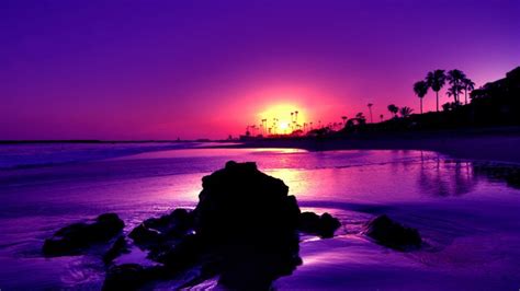 Gorgeous Purple Sunset Wallpaper High Definition