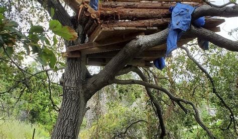 this wednesday may 22 2019 photo released by the pomona police department shows a treehouse