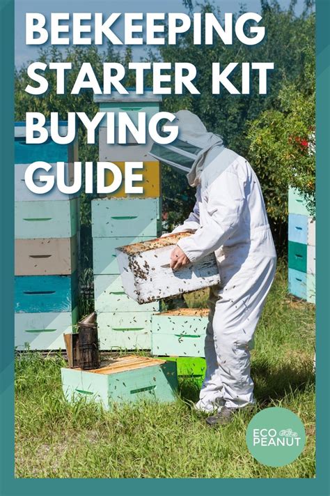 The 6 Best Beekeeping Starter Kit Of 2021