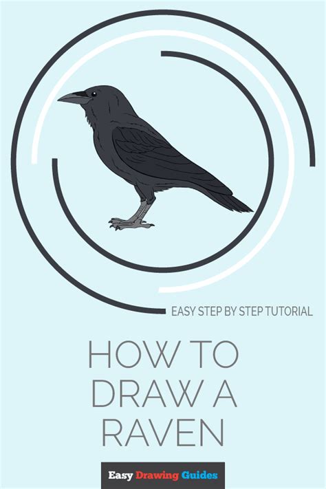 How To Draw A Raven Step By Step Tutorial Easy Drawing Guides