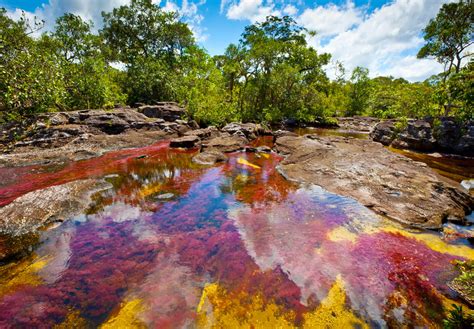 Mybestplace Caño Cristales River Of 5 Colors