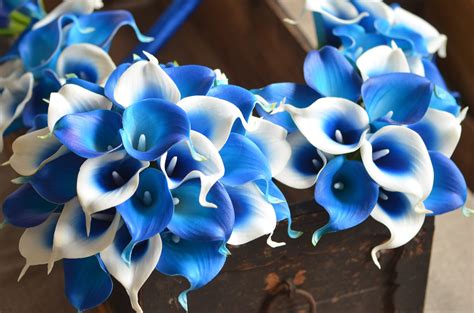 Royal Blue Calla Lily Bouquets Wedding Package Real Touch Etsy