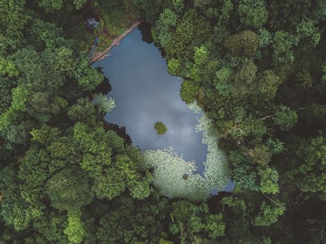Free Images Forest Lake Reflection Jungle Terrain Aerial View