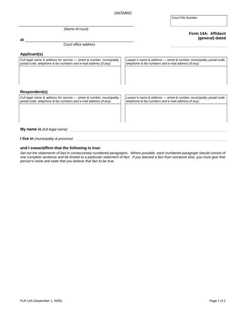 blank affidavit form  examples format  examples