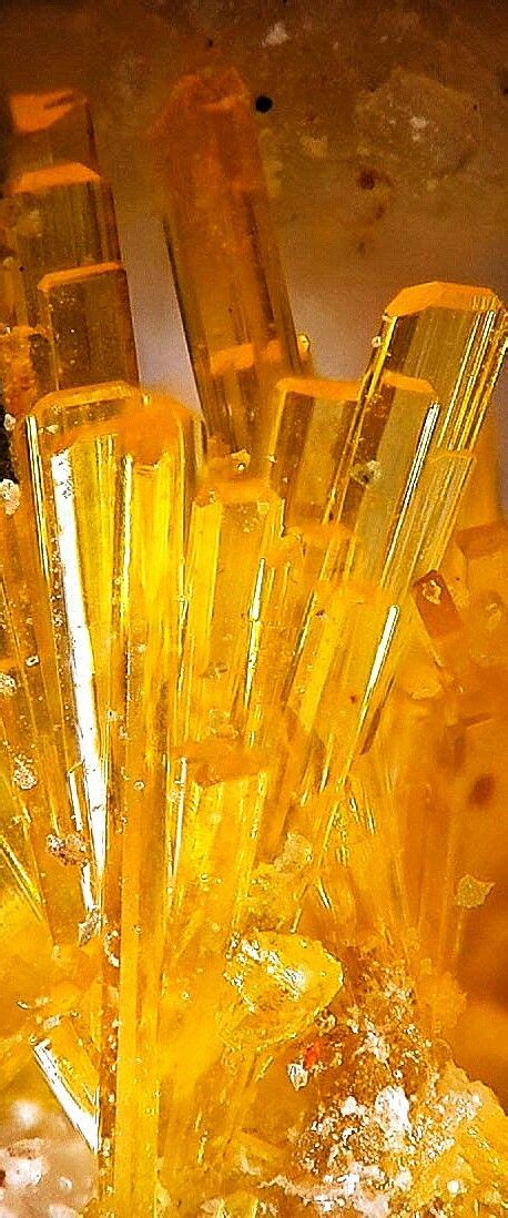 Thermal ionization mass spectrometer used in radiometric dating. Radioactive Carbon Dating Of Fossils - Idalias Salon