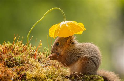 20 Photos Of Cute Animals Who Cant Wait For Spring