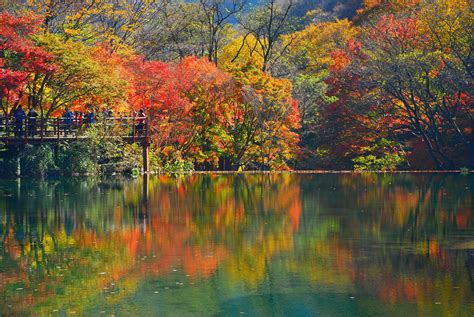 autumn, Lake, Peoples, Beauty, Beautiful, Tree, Forest, Nature Wallpapers HD / Desktop and 