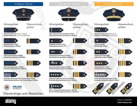 Rank Insignia Cut Out Stock Images And Pictures Alamy