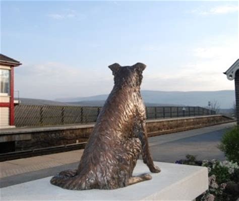 Ruswarp The Story And Sculpture Ruswarp The Collie Statue At Garsdale Station