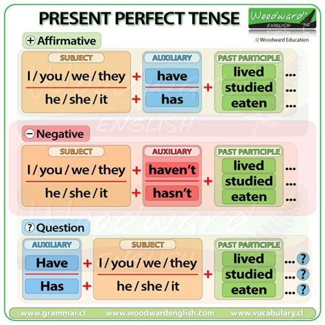 Present Perfect Tense In English Word Order