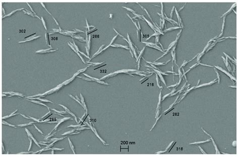 Sem Micrography Of The Cellulose Nanocrystals Isolated By A Polyol