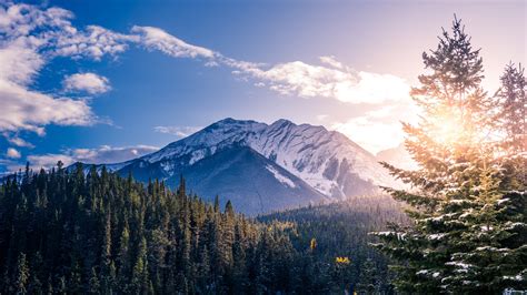Banff Canada Landscape 5k Trees Wallpapers Scenery