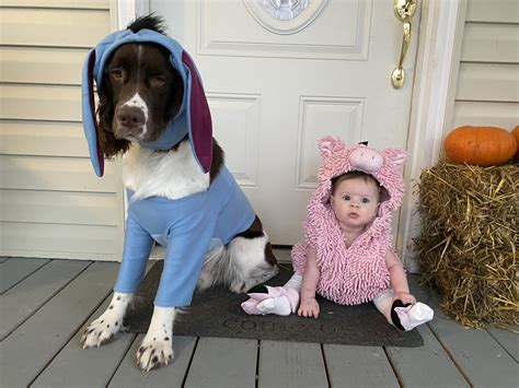 Eeyore Disney Dog Costume Pet Costume Center