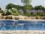 Images of Pool Landscaping Kellyville