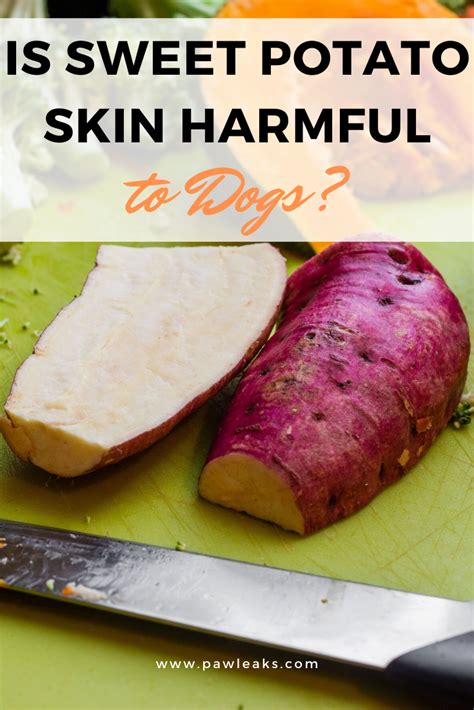 These scrummy tubers supply iron, magnesium, vitamin c, vitamin b6, and many other nutrients. Is Sweet Potato Skin Harmful to Dogs? in 2020 | Sweet ...