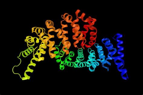 Orphazyme a/s adr options quotes data for sells and puts, including orph.us last price, change and volume. Navigating the Rare Disease Space: Insights from Orphazyme ...