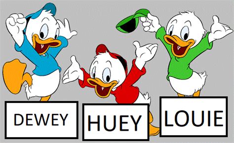 Huey Dewey And Louie Islandside Adventures Wiki Fandom