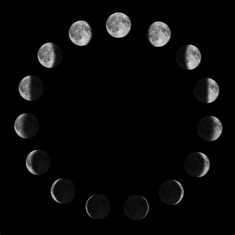 Moon Phases Line Art